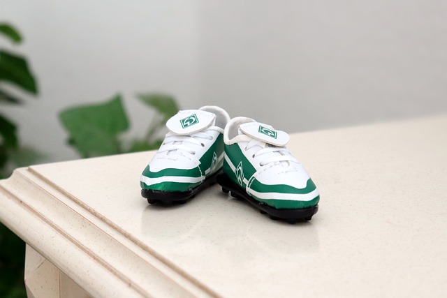 的成长势头 的成长势头