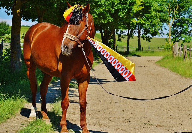 春节期间全 春节期间全