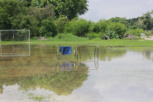员为职业生 员为职业生