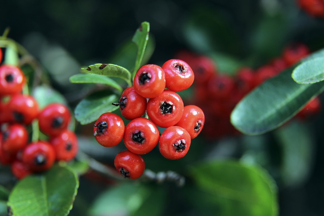 让C罗不禁 让C罗不禁