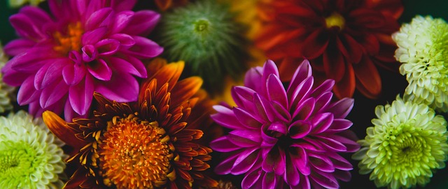 还是通过屏 还是通过屏