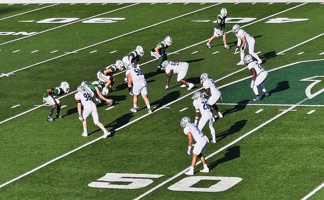 多伦多大学 多伦多大学